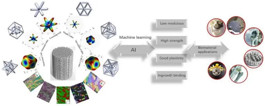 Microstructure evolution of titanium alloys